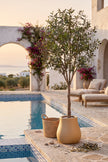 Olive L: Artificial Olive Tree with One-Piece Foliage and Natural-Style Trunk