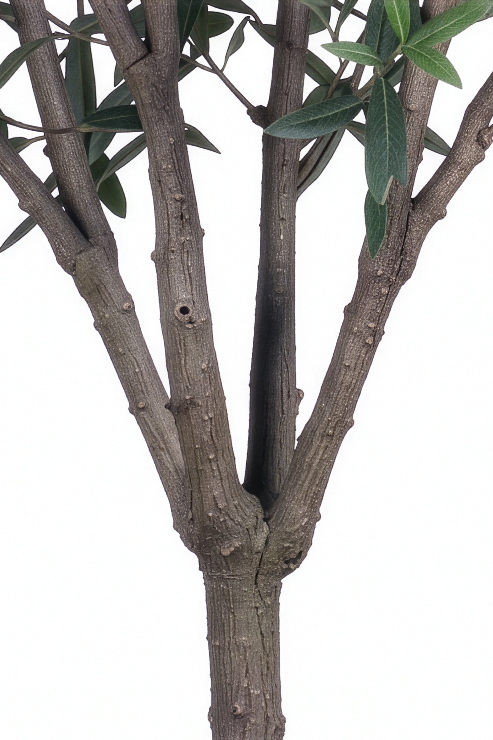 Olive L: Artificial Olive Tree with One-Piece Foliage and Natural-Style Trunk