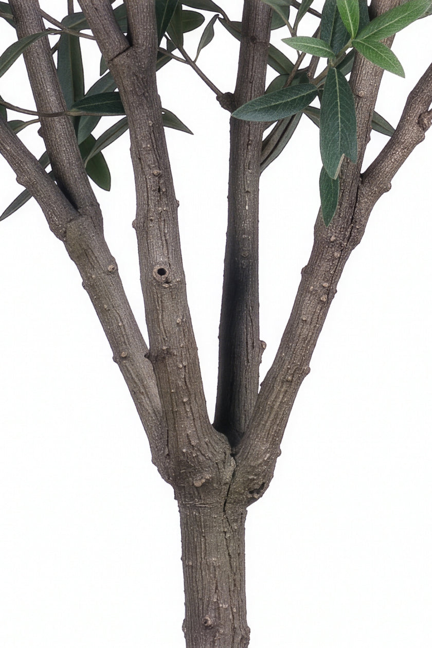 Olive L: Artificial Olive Tree with One-Piece Foliage and Natural-Style Trunk