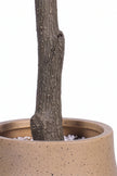 Olive L: Artificial Olive Tree with One-Piece Foliage and Natural-Style Trunk