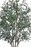 Olive L: Artificial Olive Tree with One-Piece Foliage and Natural-Style Trunk