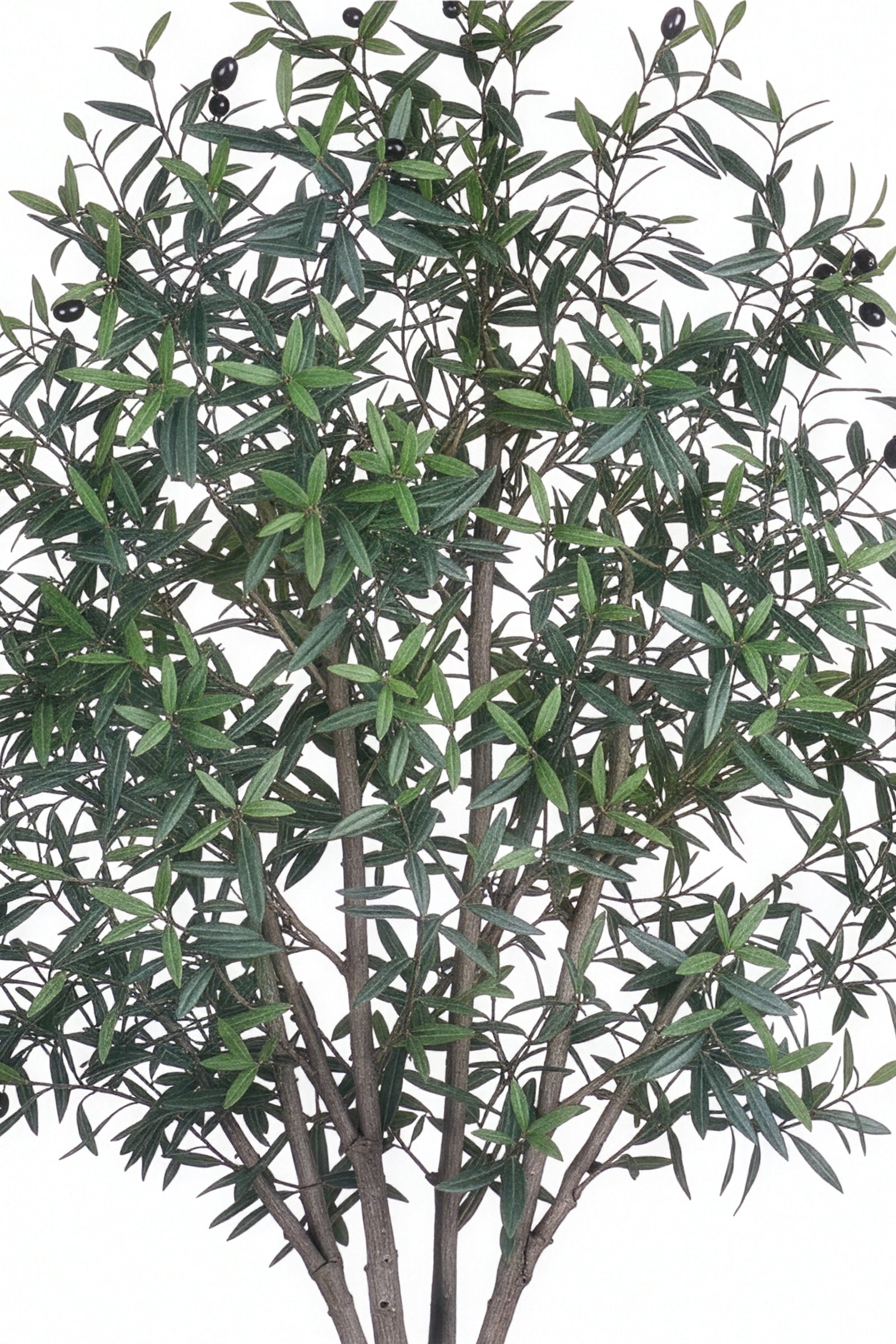 Olive L: Artificial Olive Tree with One-Piece Foliage and Natural-Style Trunk