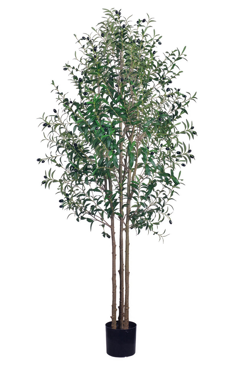Olive O: Artificial Olive Tree with Three Natural-Style Trunks