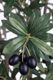 Olive O: Artificial Olive Tree with Three Natural-Style Trunks