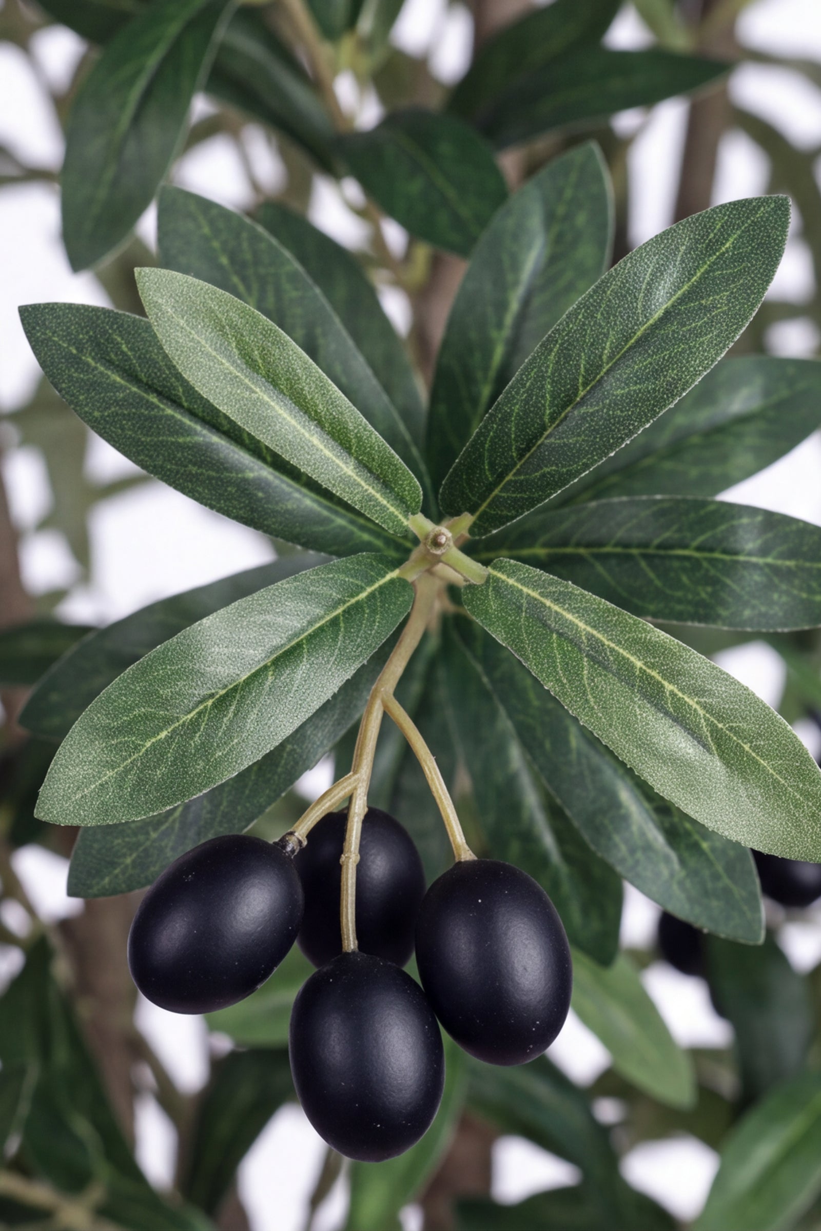 Olive O: Artificial Olive Tree with Three Natural-Style Trunks