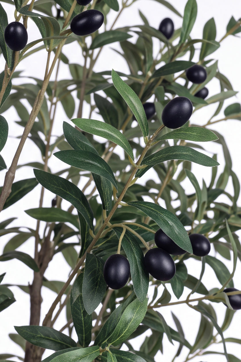 Olive O: Artificial Olive Tree with Three Natural-Style Trunks