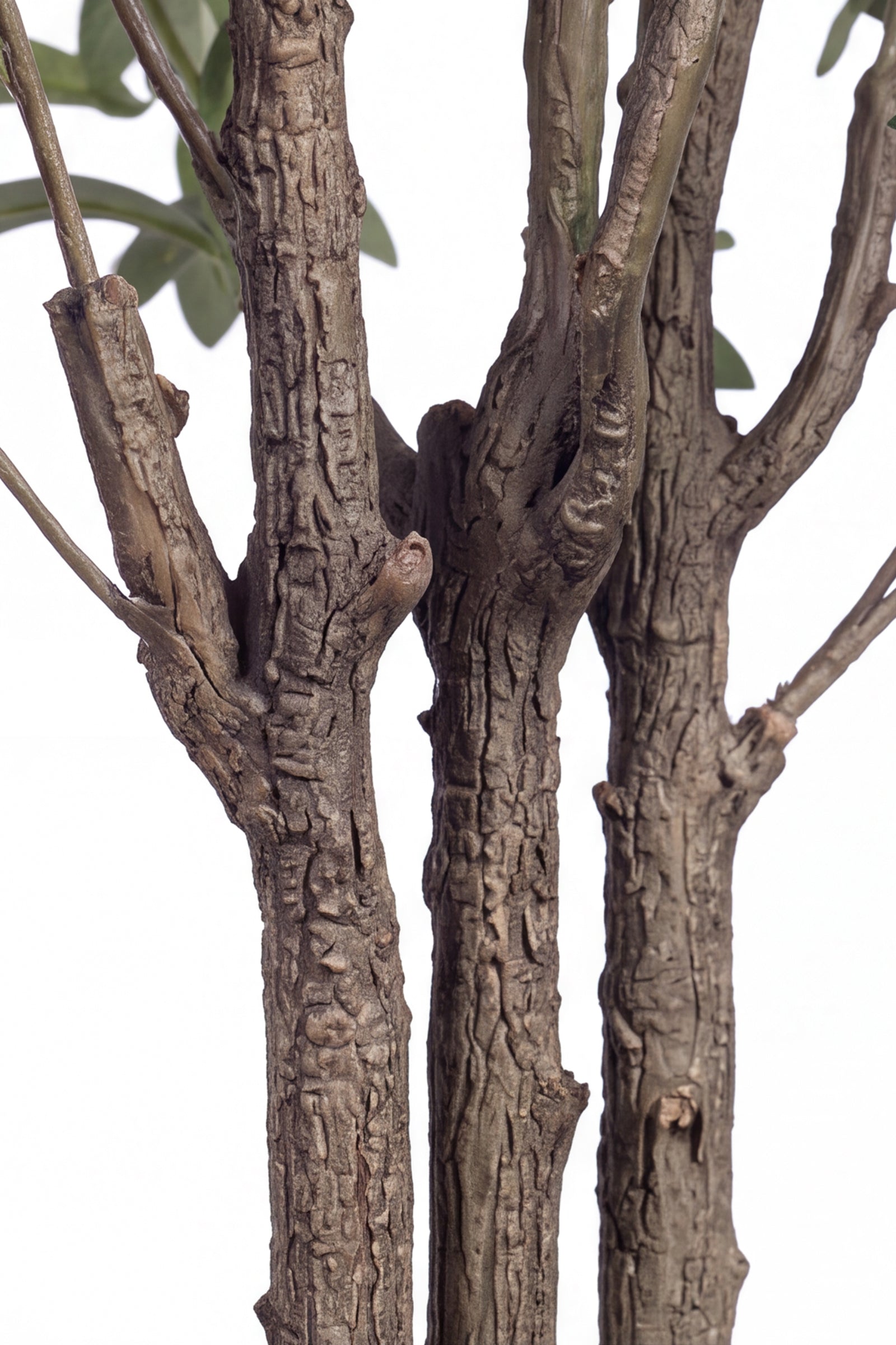 Olive O: Artificial Olive Tree with Three Natural-Style Trunks