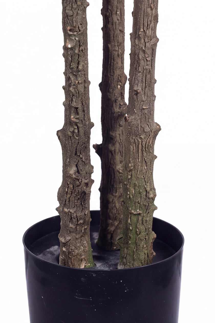 Olive O: Artificial Olive Tree with Three Natural-Style Trunks