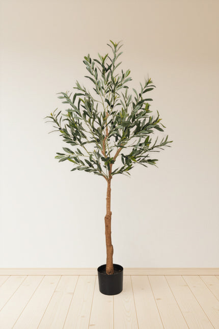 Olive E: Artificial Olive Tree with Silk Broad Leaves and Realistic Olives