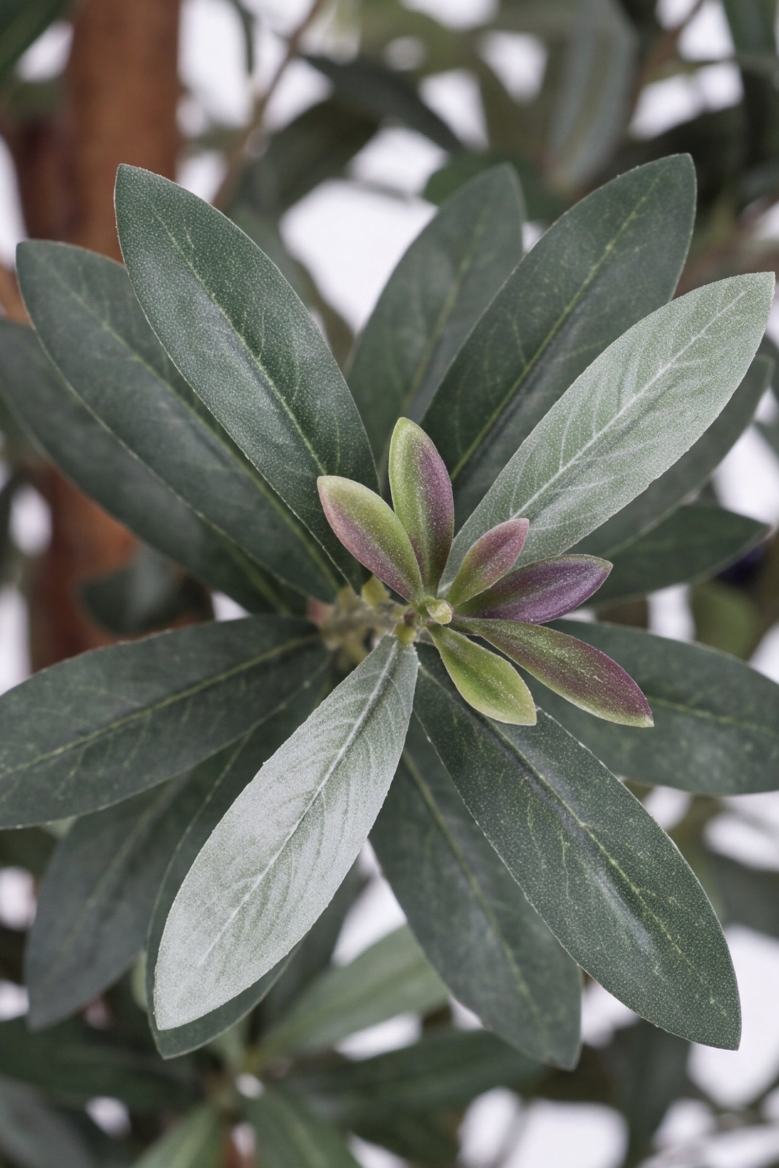 Olive J: Artificial Olive Tree with Multiple Natural-Style Trunks and Dense Foliage