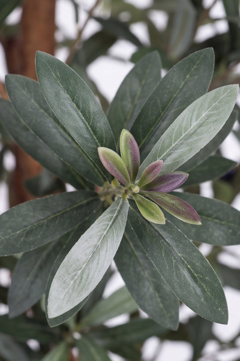 Olive J: Artificial Olive Tree with Multiple Natural-Style Trunks and Dense Foliage