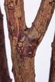 Olive J: Artificial Olive Tree with Multiple Natural-Style Trunks and Dense Foliage