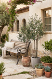 Olive O: Artificial Olive Tree with Three Natural-Style Trunks