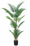 Palmier A : Faux palmier Areca avec des feuilles arquées luxuriantes