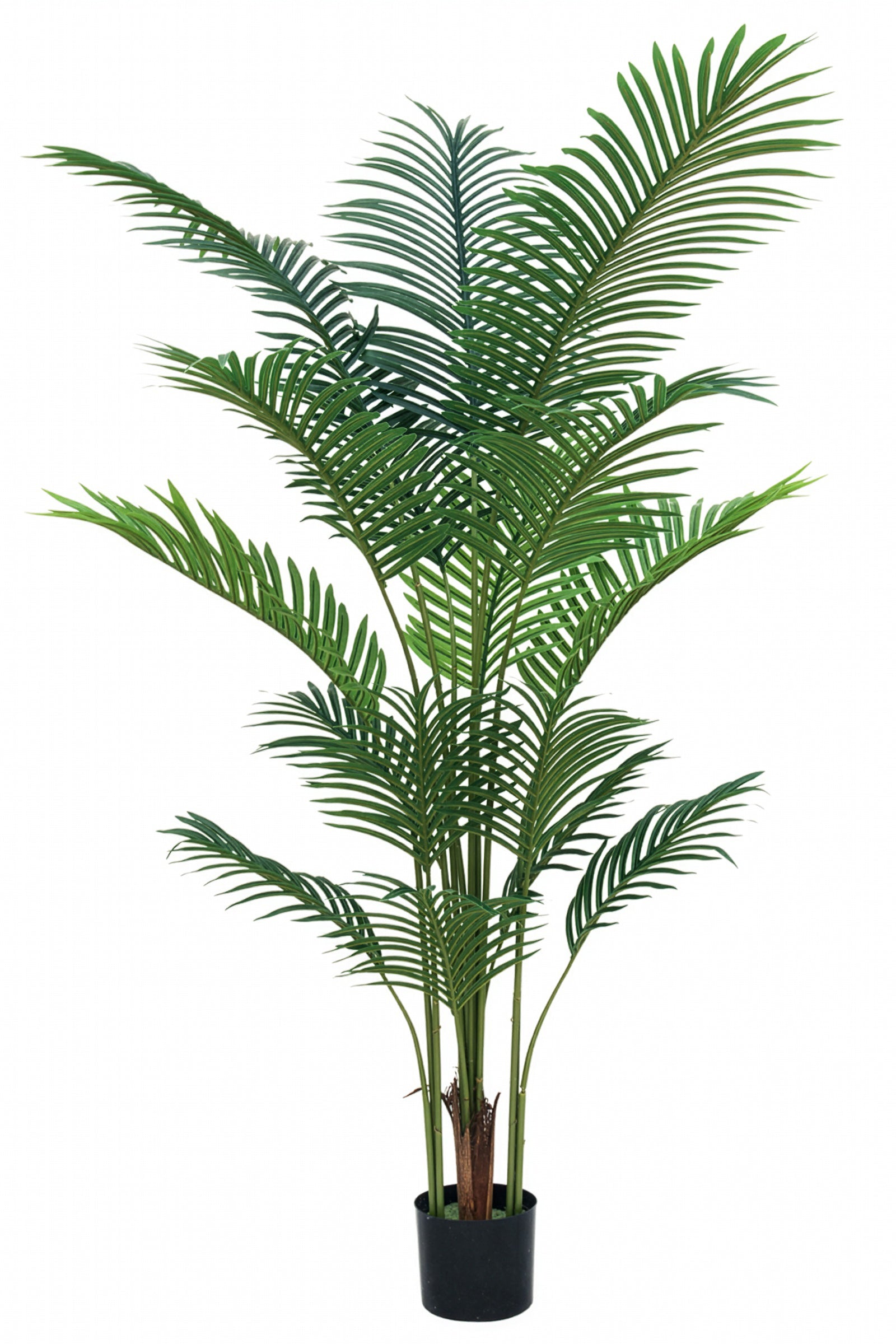 Palmier A : Faux palmier Areca avec des feuilles arquées luxuriantes
