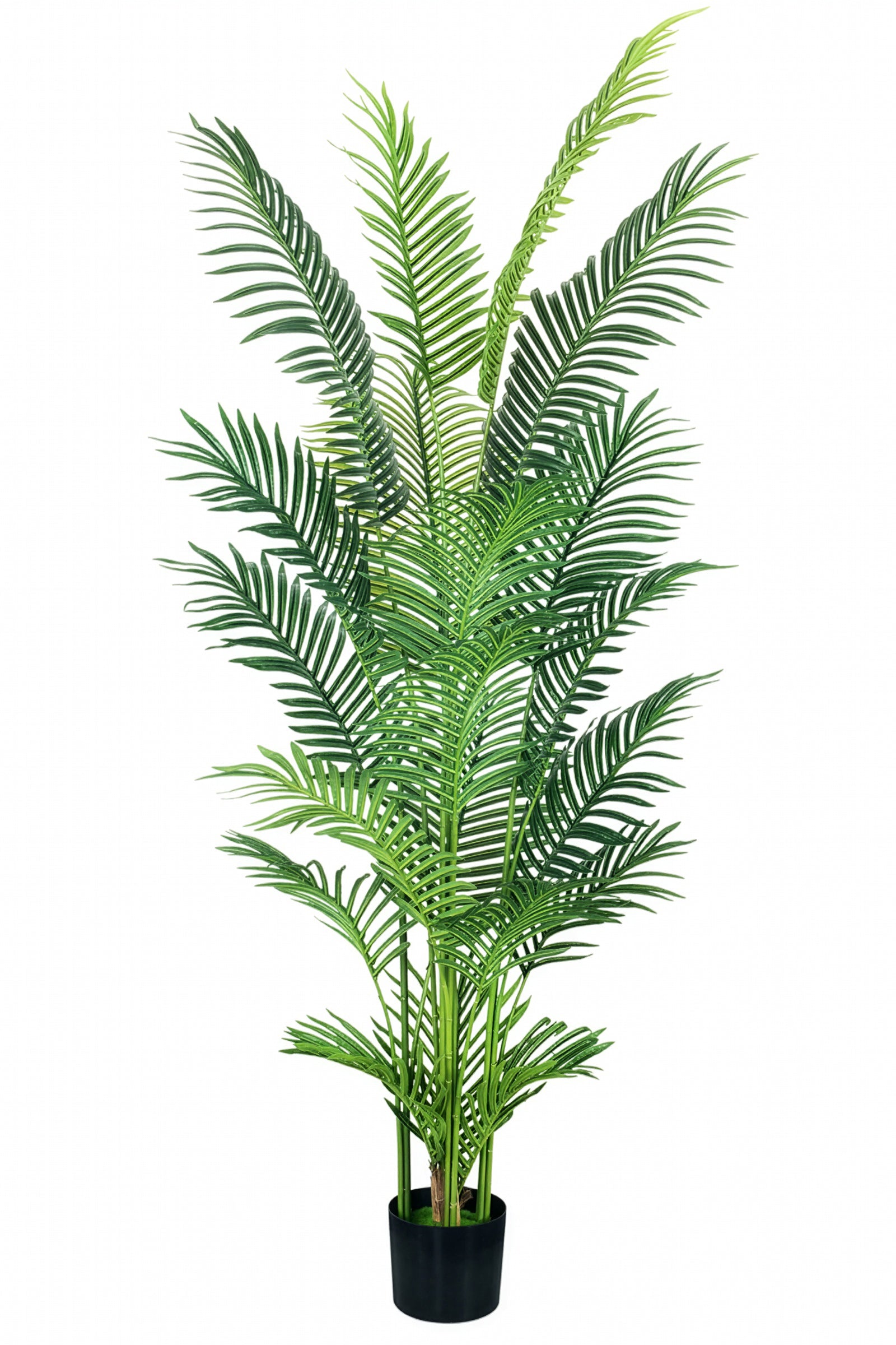 Palmier A : Faux palmier Areca avec des feuilles arquées luxuriantes