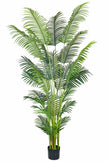Palmier A : Faux palmier Areca avec des feuilles arquées luxuriantes