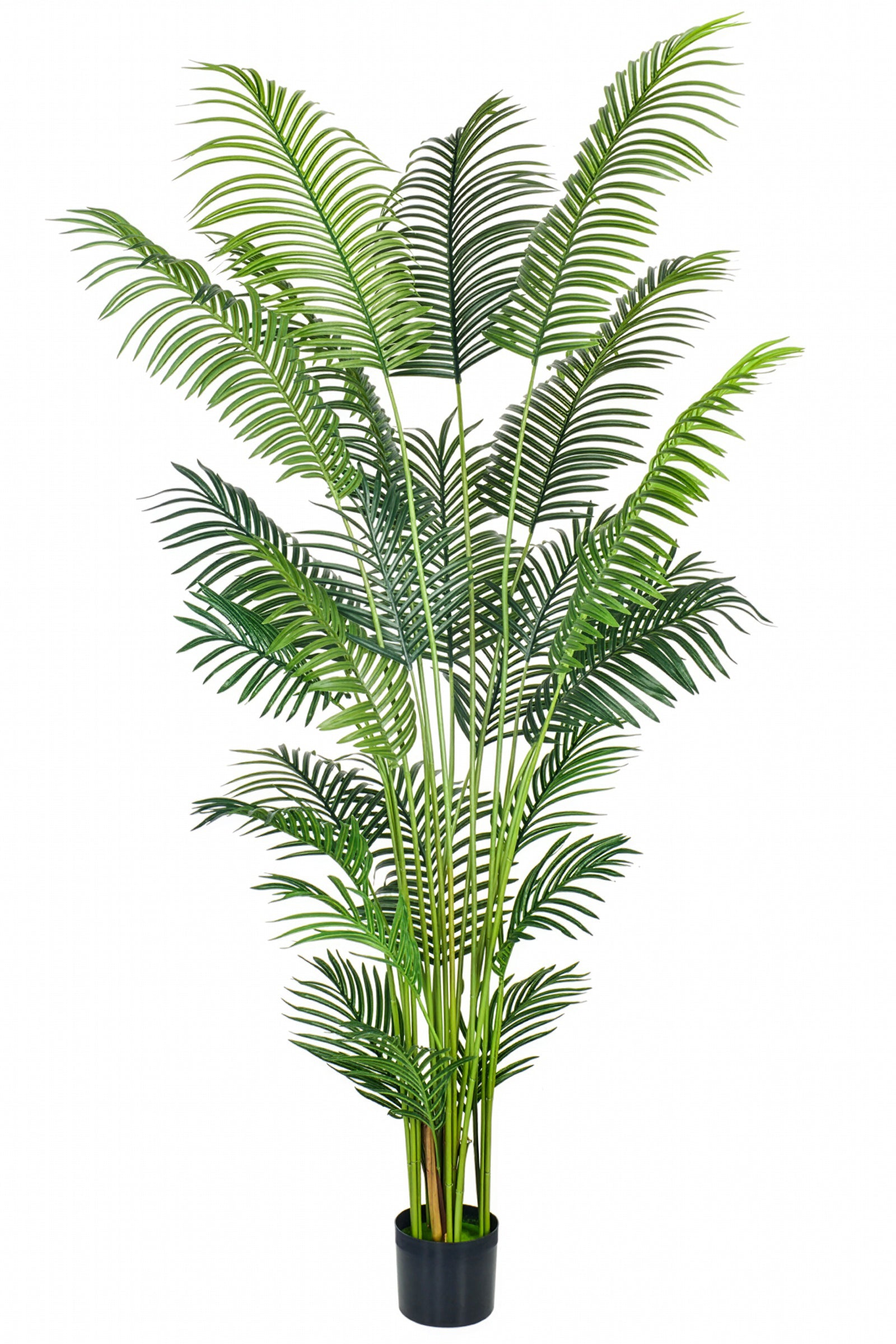 Palmier A : Faux palmier Areca avec des feuilles arquées luxuriantes
