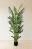 Palmier A : Faux palmier Areca avec des feuilles arquées luxuriantes
