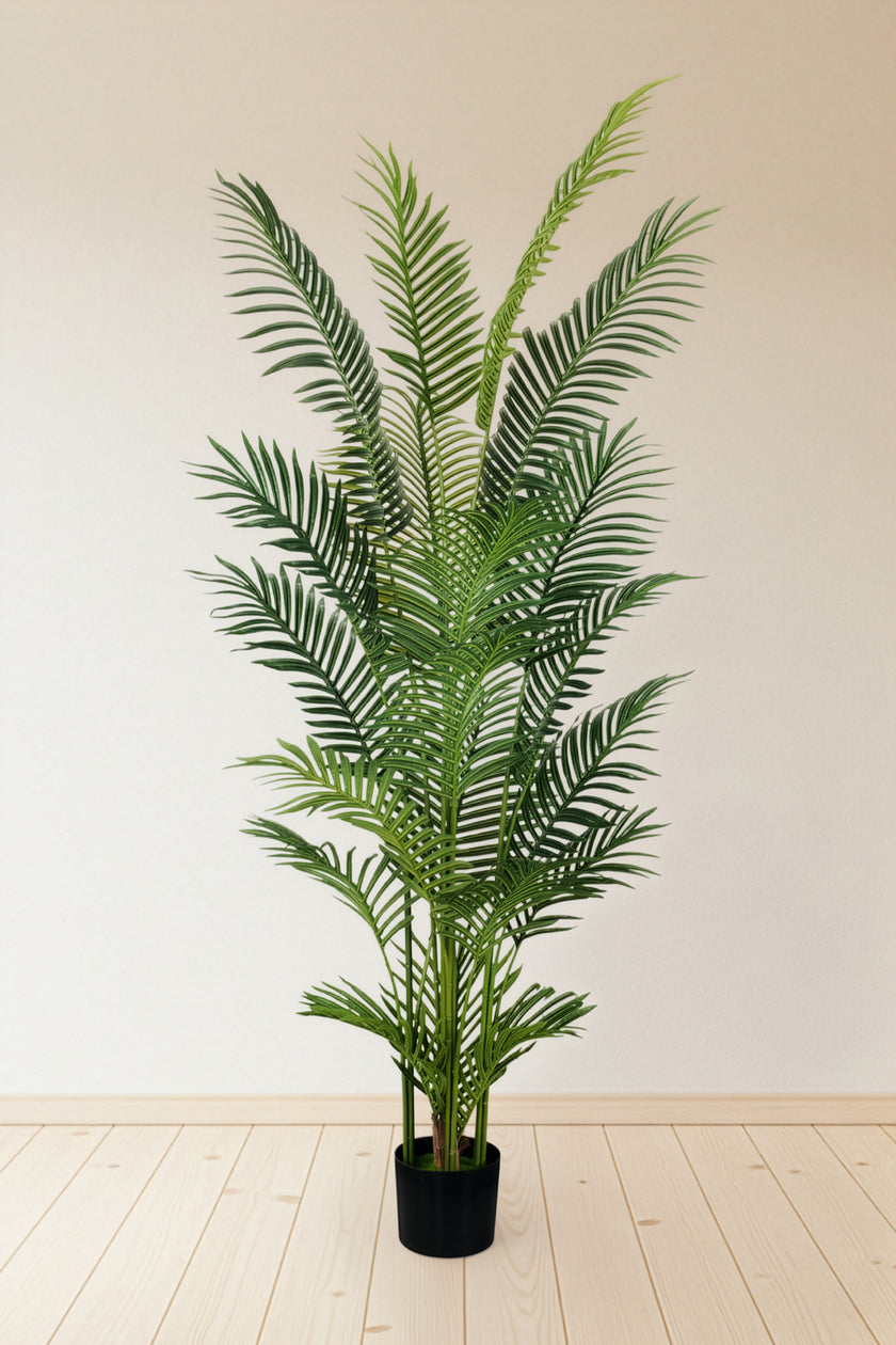 Palmier A : Faux palmier Areca avec des feuilles arquées luxuriantes