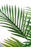Palmier A : Faux palmier Areca avec des feuilles arquées luxuriantes