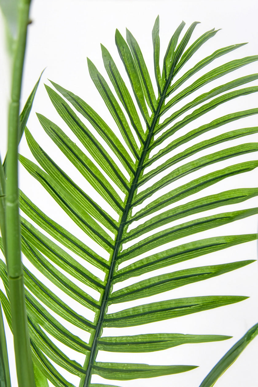Palmier A : Faux palmier Areca avec des feuilles arquées luxuriantes