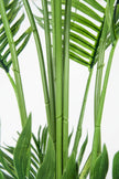 Palmier A : Faux palmier Areca avec des feuilles arquées luxuriantes