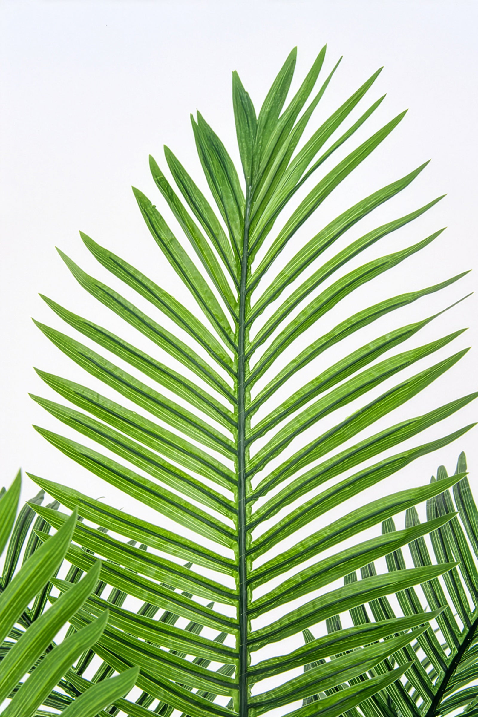 Palmier A : Faux palmier Areca avec des feuilles arquées luxuriantes