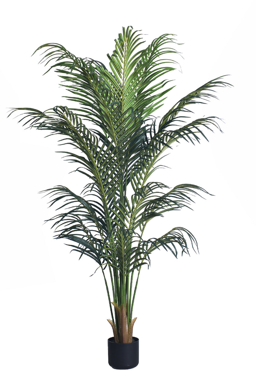 Palm B: Artificial Phoenix Palm Tree with Real-Touch Leaves and Textured Brown Sheath