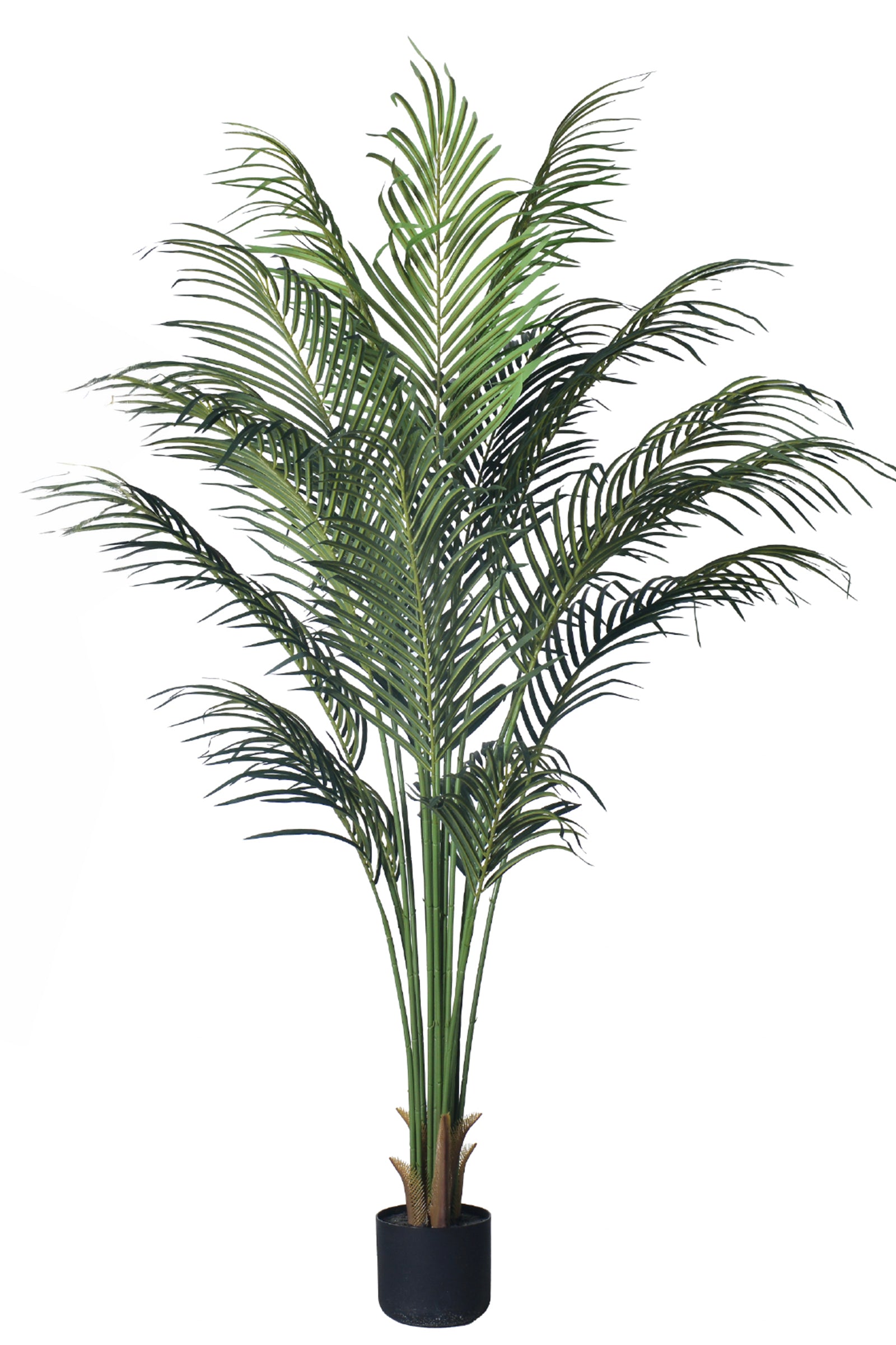 Palm B: Artificial Phoenix Palm Tree with Real-Touch Leaves and Textured Brown Sheath