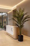Palm B: Artificial Phoenix Palm Tree with Real-Touch Leaves and Textured Brown Sheath