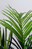 Palm B: Artificial Phoenix Palm Tree with Real-Touch Leaves and Textured Brown Sheath