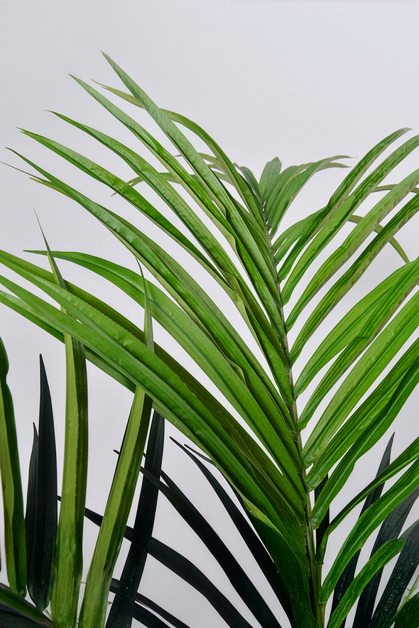 Palm B: Artificial Phoenix Palm Tree with Real-Touch Leaves and Textured Brown Sheath