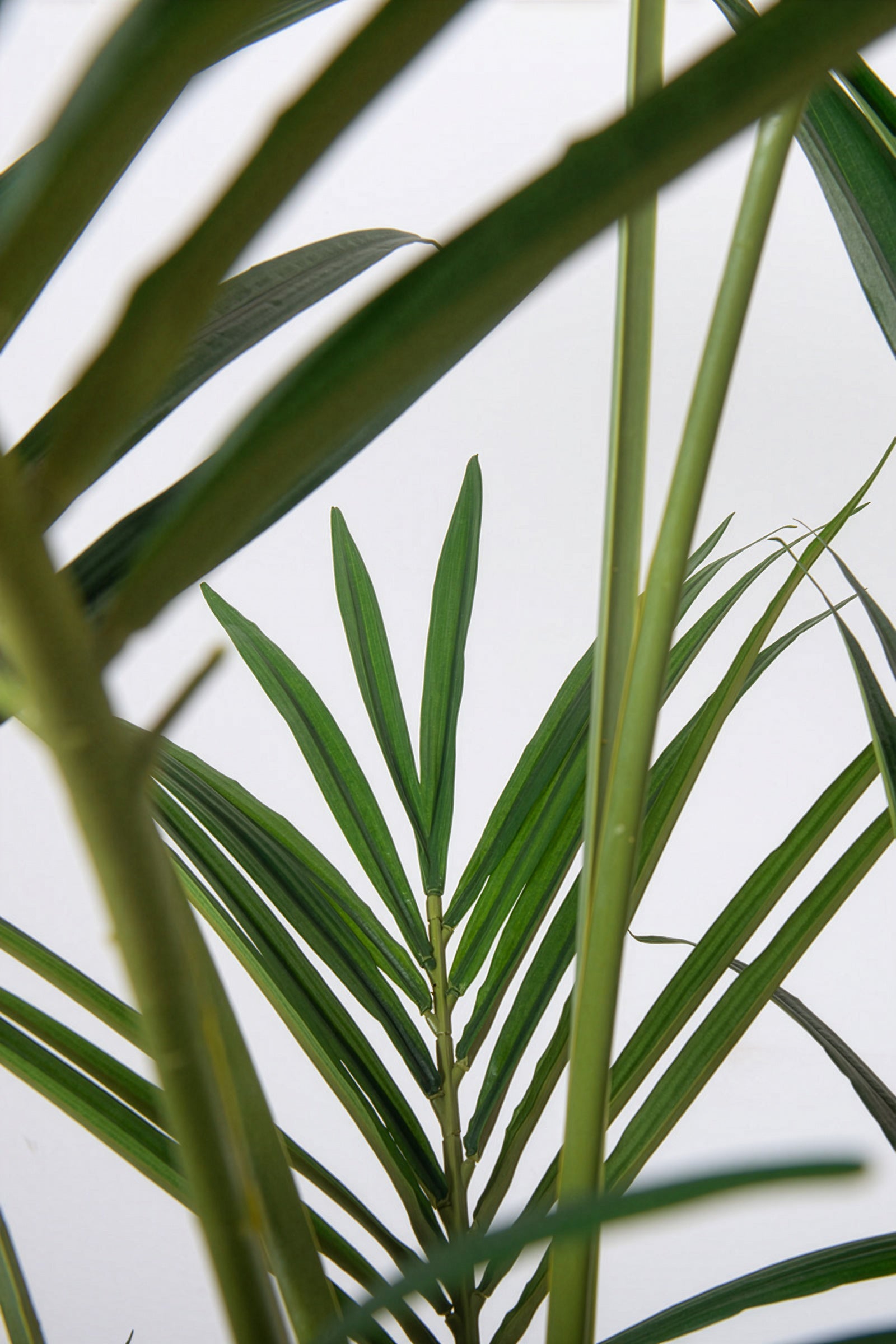 Palm B: Artificial Phoenix Palm Tree with Real-Touch Leaves and Textured Brown Sheath
