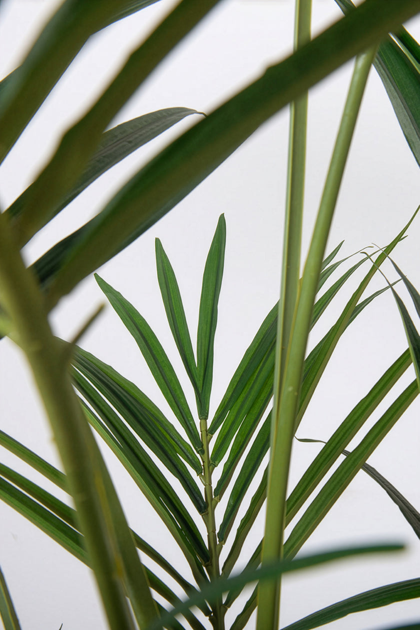 Palm B: Artificial Phoenix Palm Tree with Real-Touch Leaves and Textured Brown Sheath