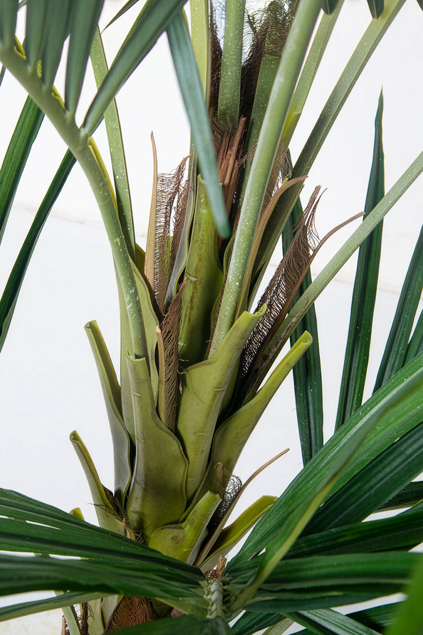 Palm B: Artificial Phoenix Palm Tree with Real-Touch Leaves and Textured Brown Sheath
