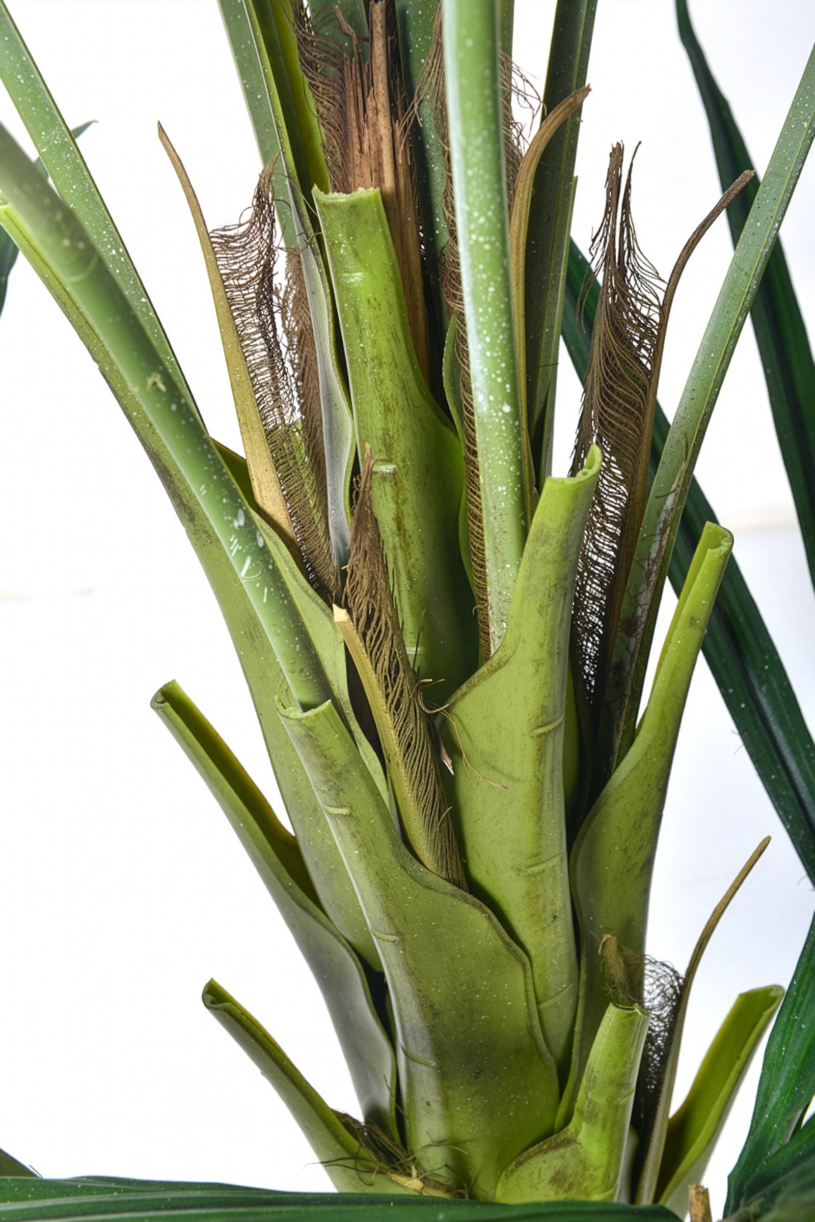Palm B: Artificial Phoenix Palm Tree with Real-Touch Leaves and Textured Brown Sheath