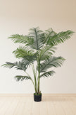 Palm C: Artificial Double-Trunk Cane Palm Tree with Feathered Leaves