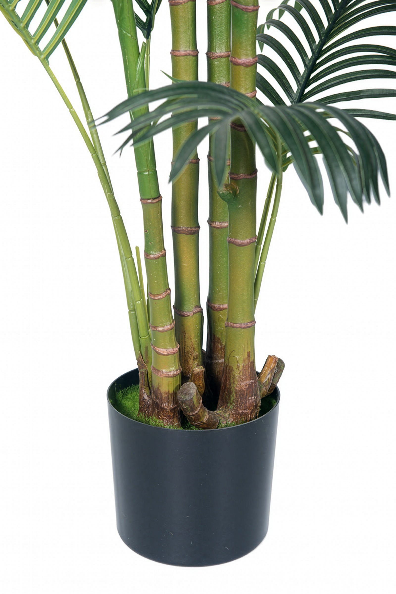 Palm C: Artificial Hawaiian Palm Tree with Feathered Leaves