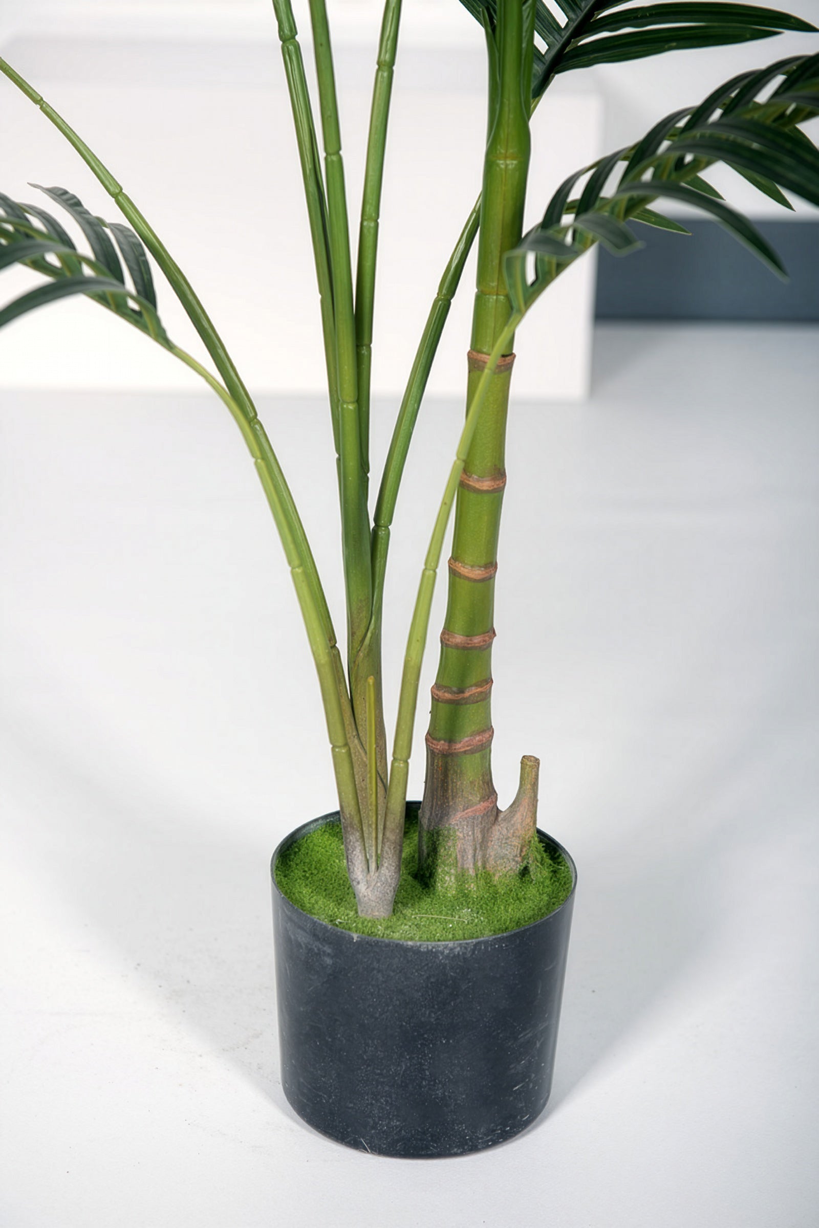 Palm C: Artificial Hawaiian Palm Tree with Feathered Leaves
