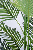 Palm C: Artificial Double-Trunk Cane Palm Tree with Feathered Leaves