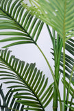 Palm C: Artificial Hawaiian Palm Tree with Feathered Leaves