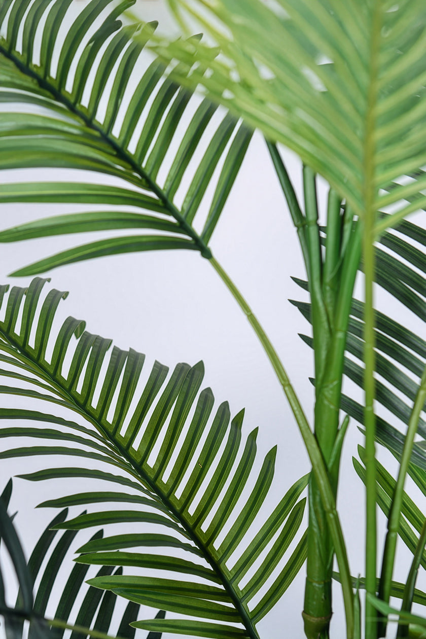 Palm C: Artificial Hawaiian Palm Tree with Feathered Leaves