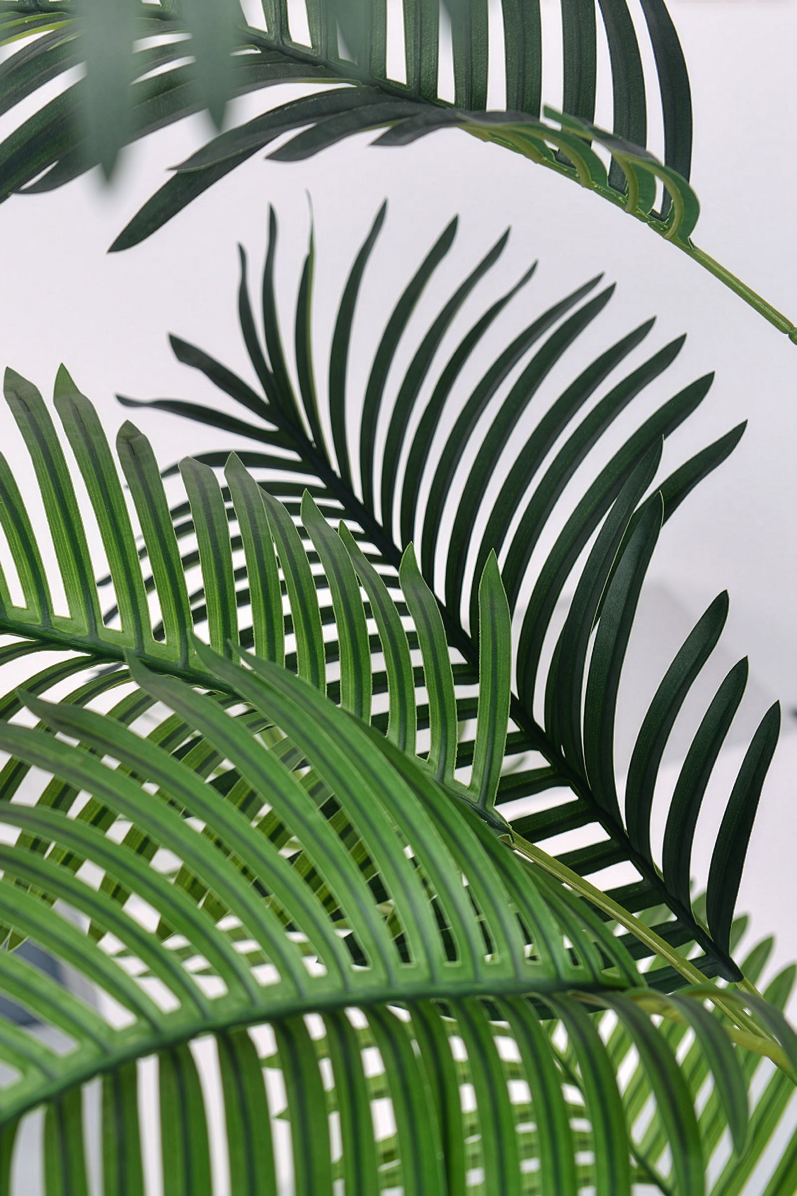 Palm C: Artificial Hawaiian Palm Tree with Feathered Leaves
