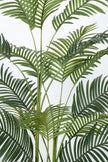 Palm C: Artificial Double-Trunk Cane Palm Tree with Feathered Leaves