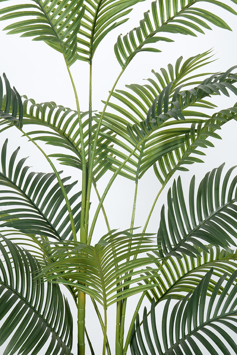 Palm C: Artificial Double-Trunk Cane Palm Tree with Feathered Leaves