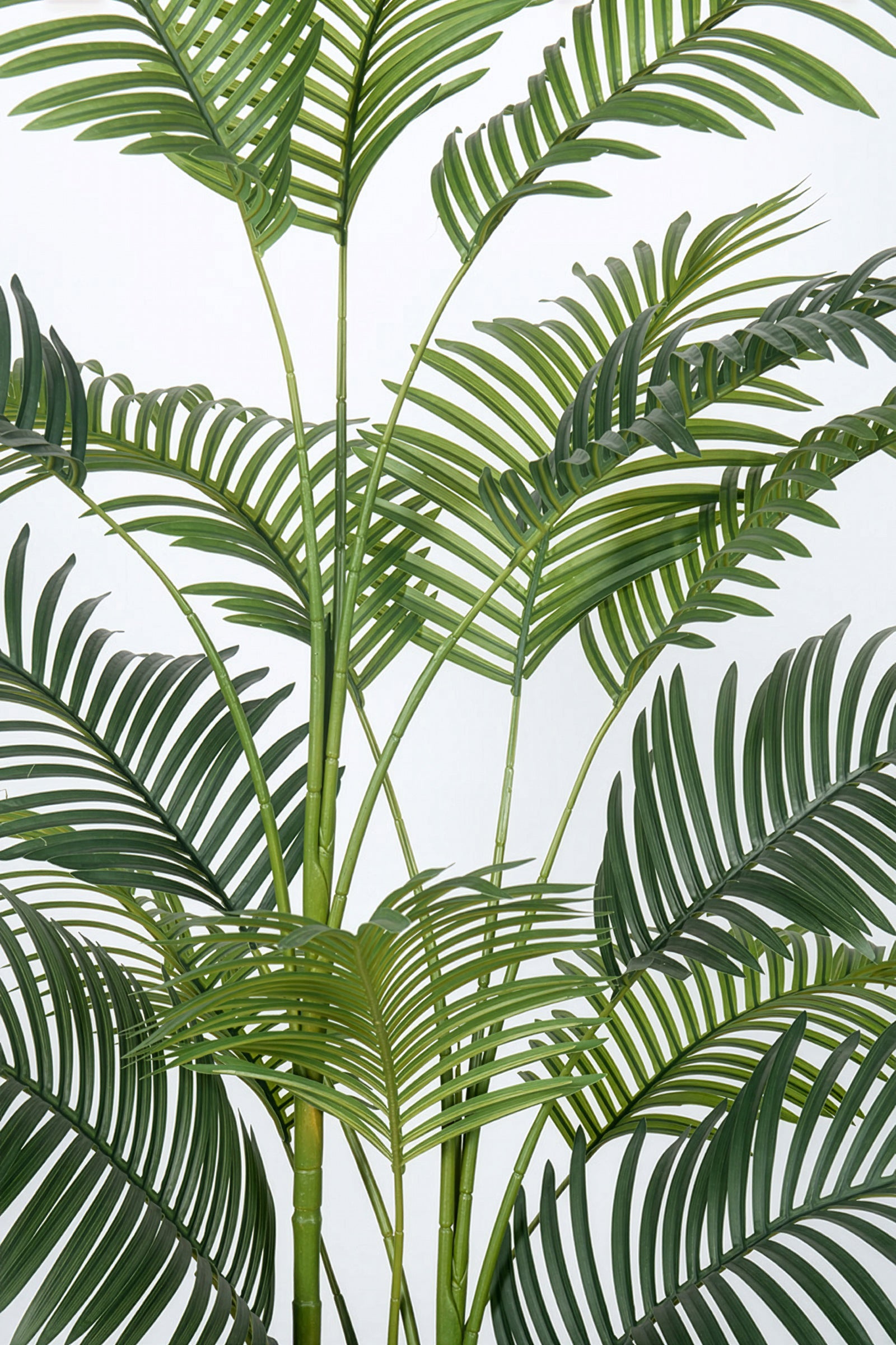 Palm C: Artificial Hawaiian Palm Tree with Feathered Leaves