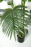 Palm C: Artificial Double-Trunk Cane Palm Tree with Feathered Leaves