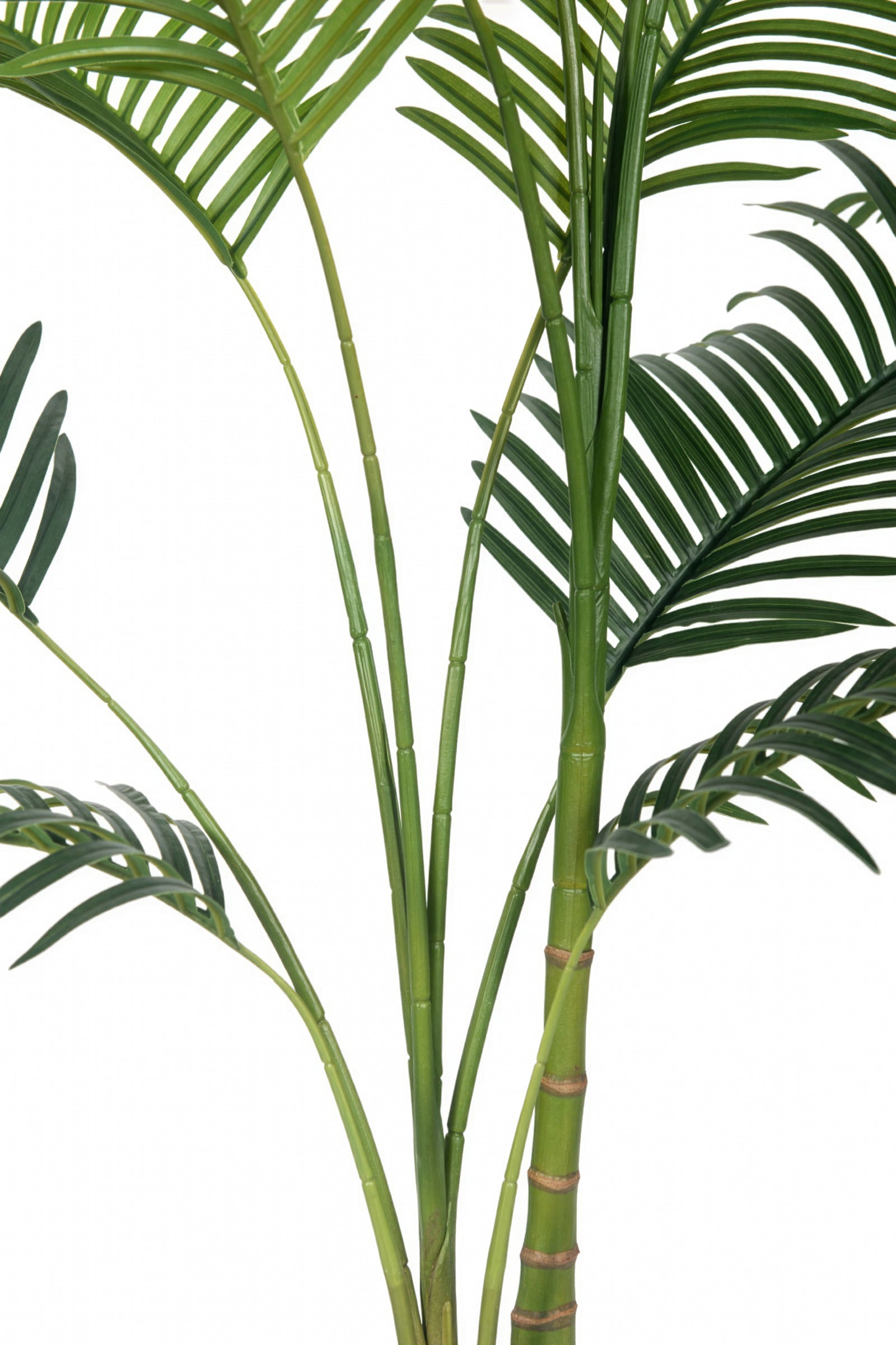 Palm C: Artificial Hawaiian Palm Tree with Feathered Leaves