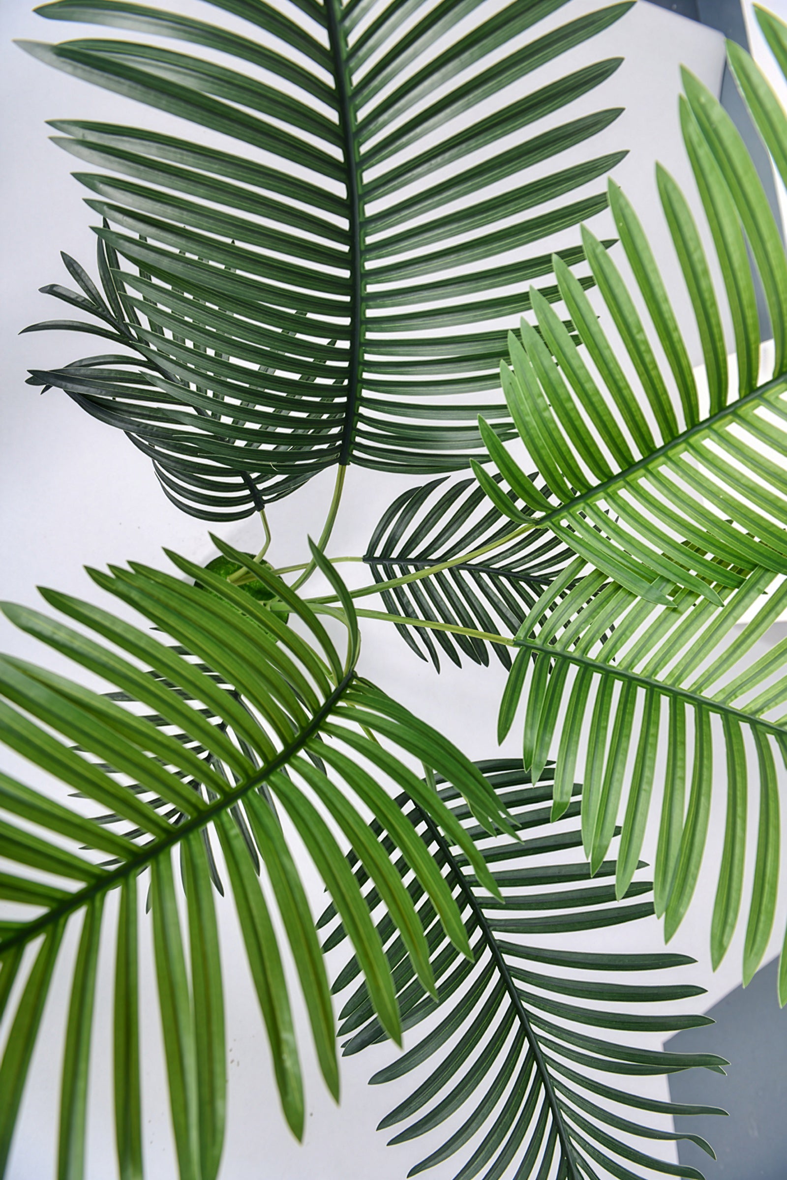 Palm C: Artificial Hawaiian Palm Tree with Feathered Leaves